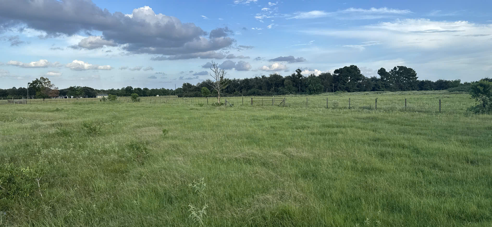 EB-5 investment return interest rate