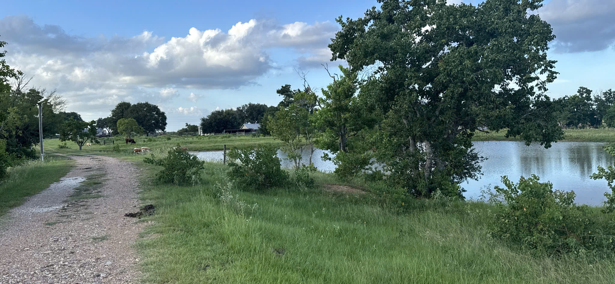 Visa EB-5 dành riêng (set-aside) 20%