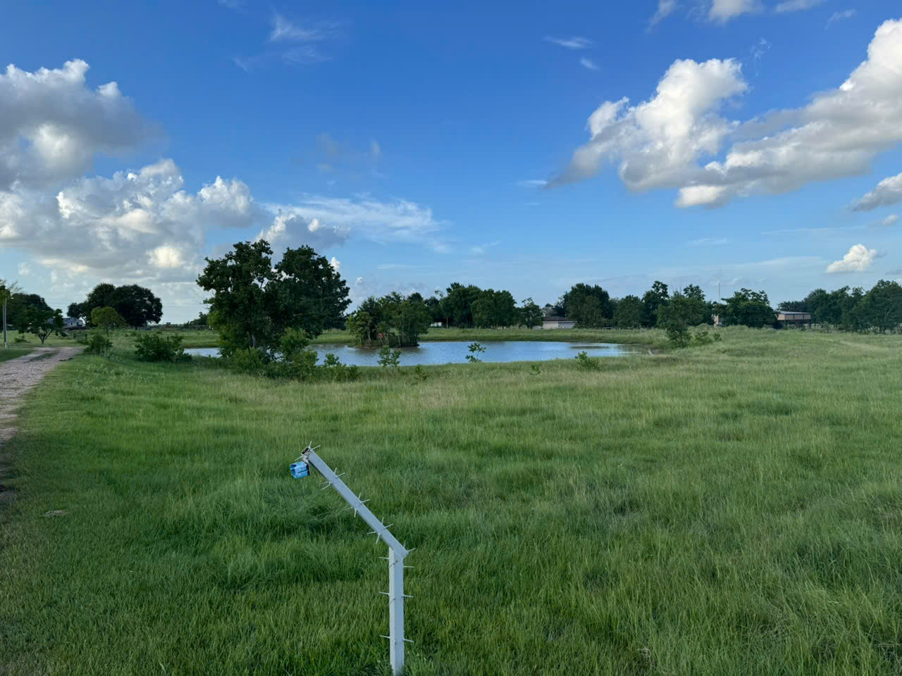 Ưu tiên xét duyệt đơn I-526E